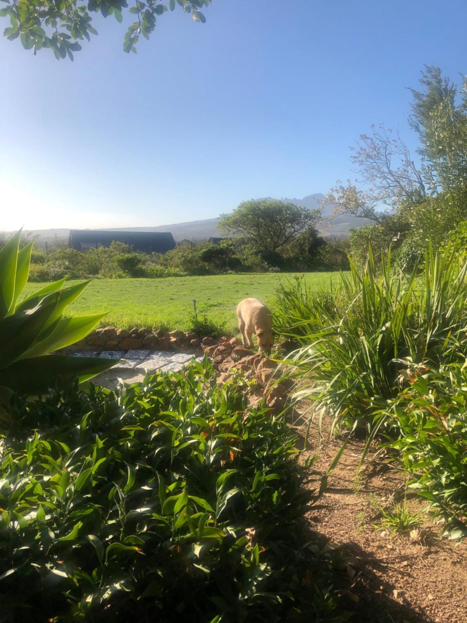 Watermill Studios Gordonʼs Bay Exterior foto